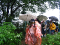 IMG_1604_thumb.png