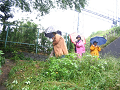 IMG_1626_thumb.png