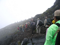 P1000102_thumb.png