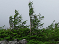 P1000158_thumb.png