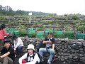P2000018_thumb.png