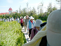 P1010062_thumb.png