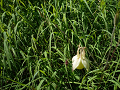 P1010072_thumb.png