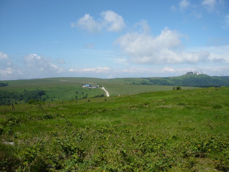P1010106.JPG
