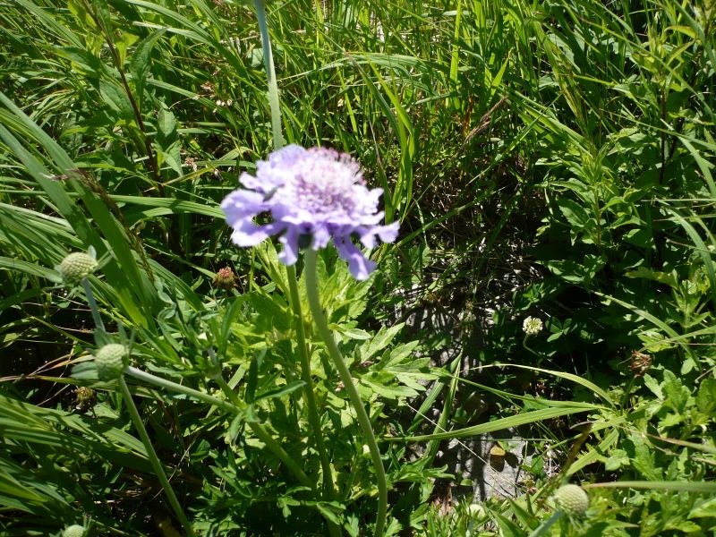 P1010132.JPG