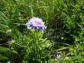 P1010132_thumb.png