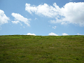 P1010477_thumb.png