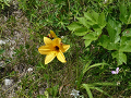 P1010508_thumb.png