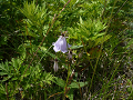 P1010509_thumb.png