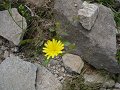 P1010525_thumb.png
