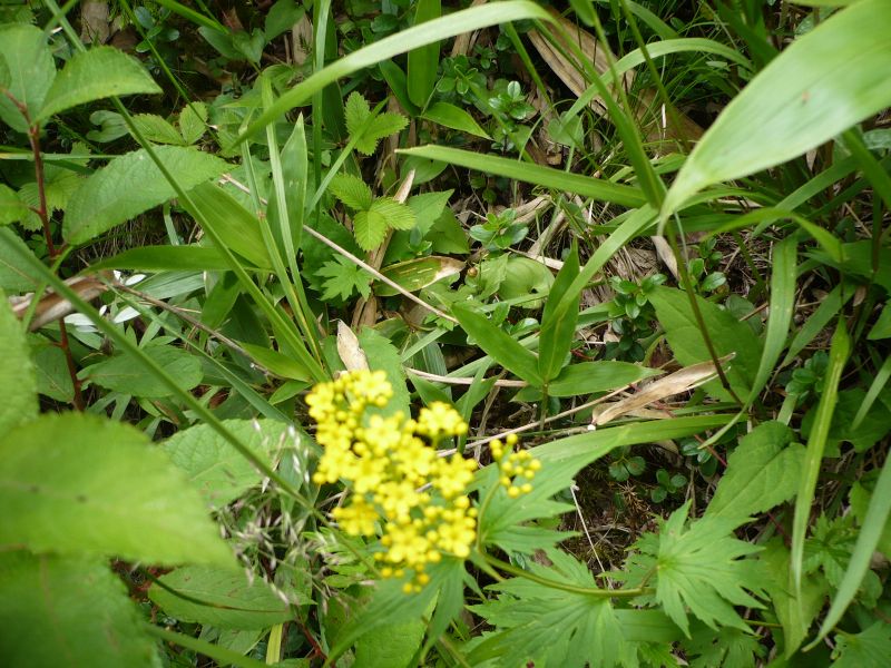 P1010548.JPG