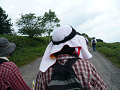 P1010551_thumb.png