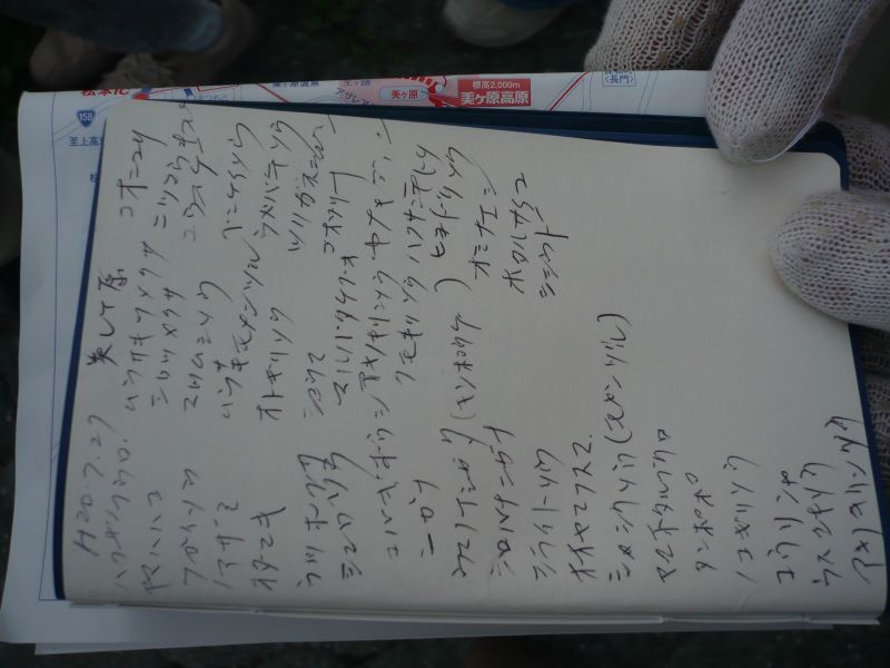 P1010559.JPG