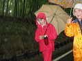 IMG_1931_thumb.png