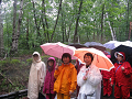 IMG_1945_thumb.png