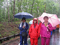 IMG_1955_thumb.png