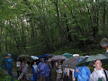 IMG_2012_thumb.png