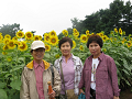 IMG_2058_thumb.png