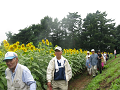 IMG_2062_thumb.png