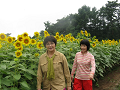 IMG_2065_thumb.png