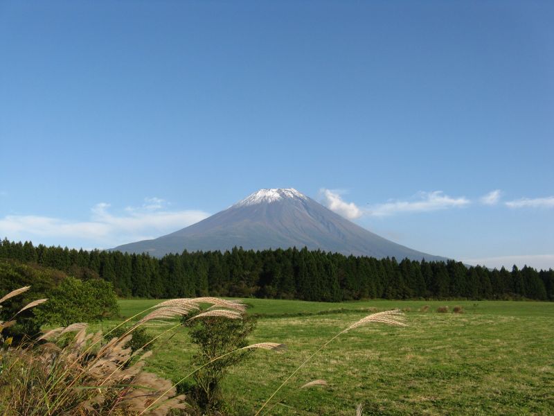 IMG_6365.JPG
