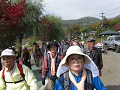 IMG_6162_thumb.png