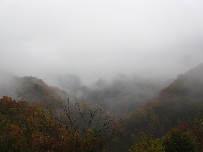 IMG_7402.JPG
