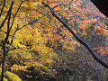 IMG_7427_thumb.png