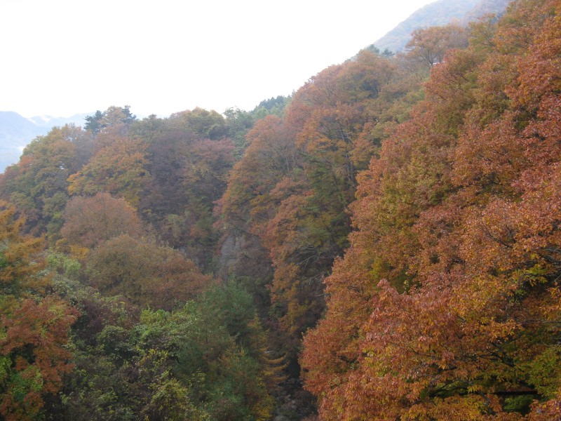 IMG_7473.JPG