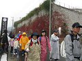 IMG_6862_thumb.png