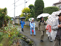 IMG_7186_thumb.png