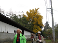 IMG_7224_thumb.png
