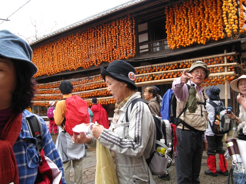 IMG_7237.JPG