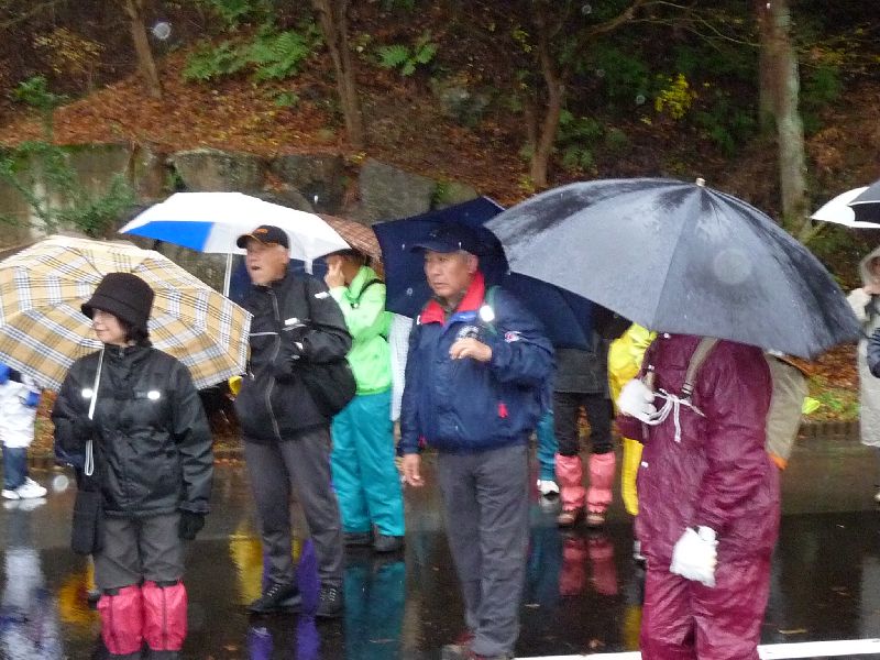 P1000978.JPG