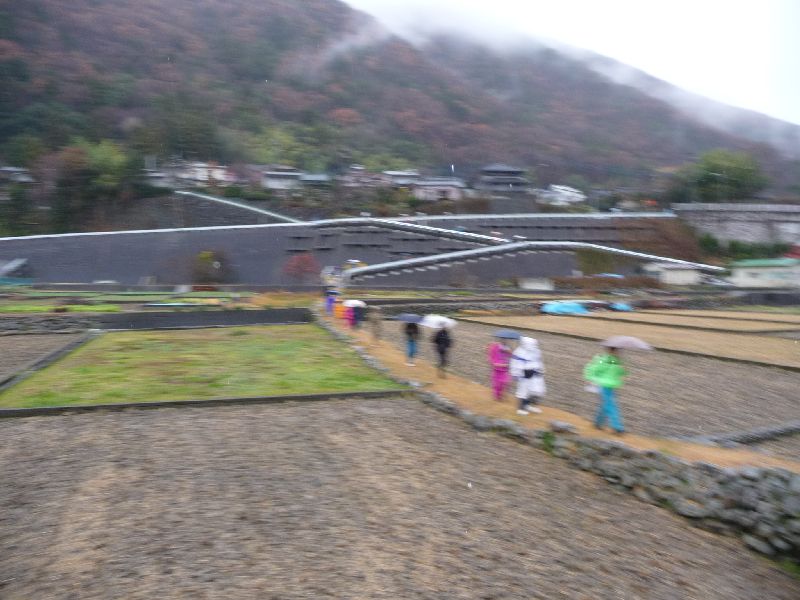 P1010004.JPG