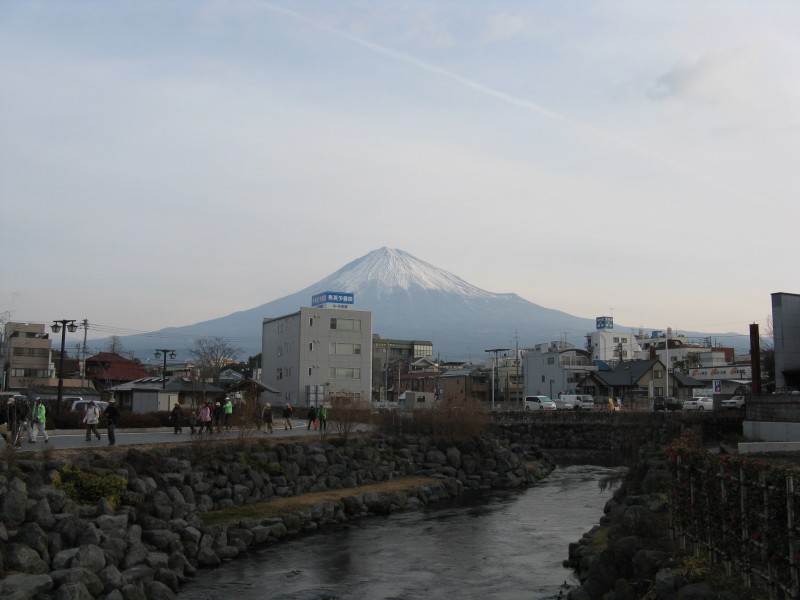 IMG_8733.JPG