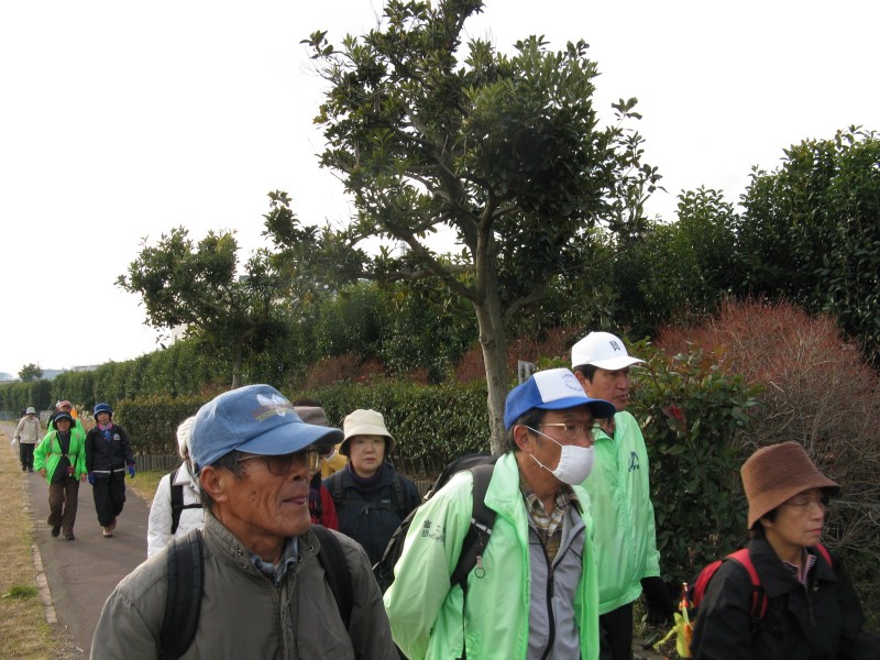 IMG_8745.JPG