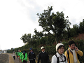 IMG_8746_thumb.png