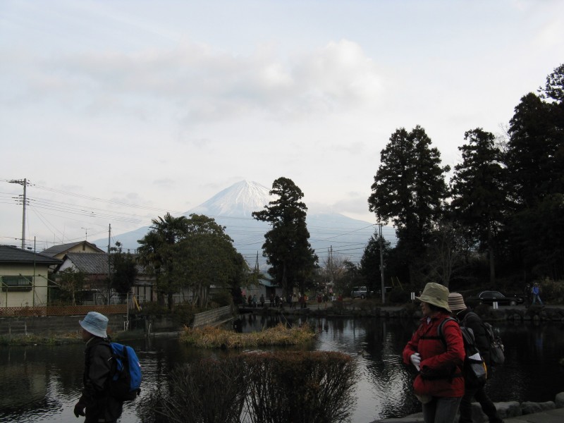 IMG_8749.JPG