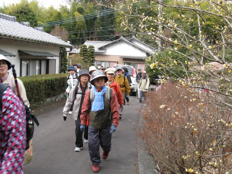 IMG_8925.JPG