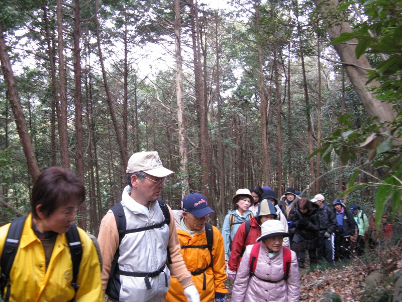 IMG_8989.JPG