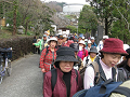 IMG_0444_thumb.png