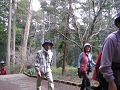 IMG_0519_thumb.png