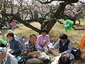 IMG_0261_thumb.png