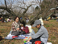 IMG_0271_thumb.png