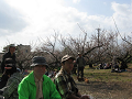 IMG_0274_thumb.png