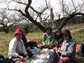 IMG_0341_thumb.png