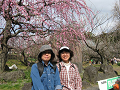 IMG_0398_thumb.png