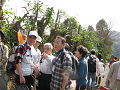 IMG_0251_thumb.png