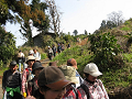 IMG_0253_thumb.png
